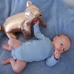 IMG 565